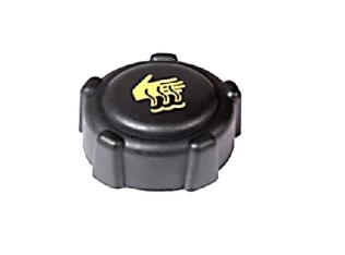 Renault Megane II Motor Su Deposu Kapağı  8200048024